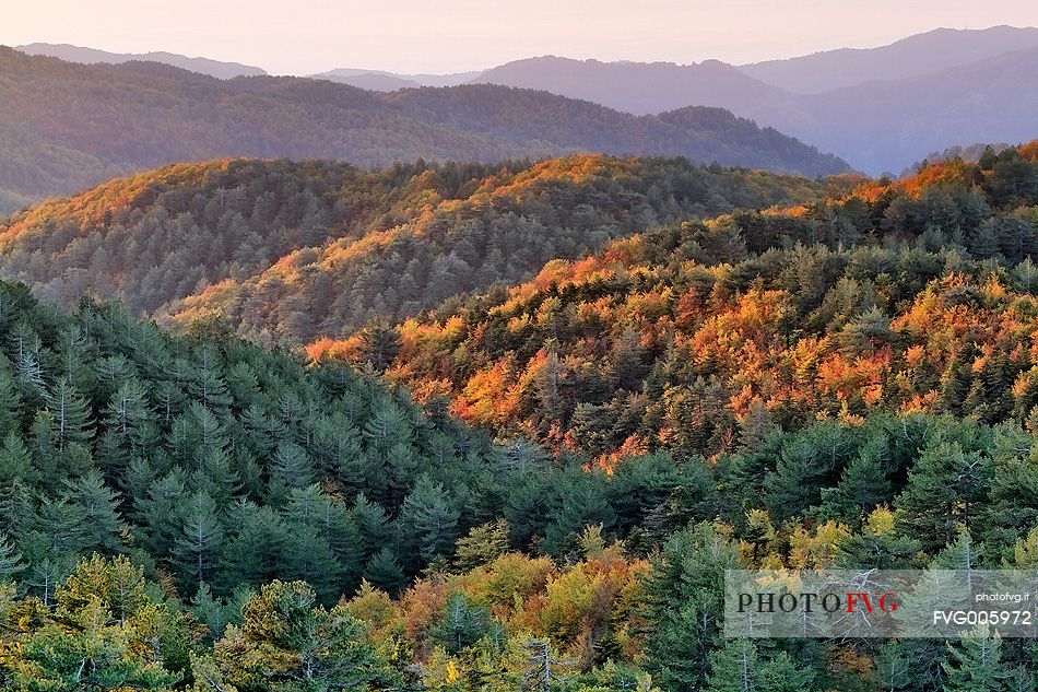 Autumn Colors in the Aspromonte National Park