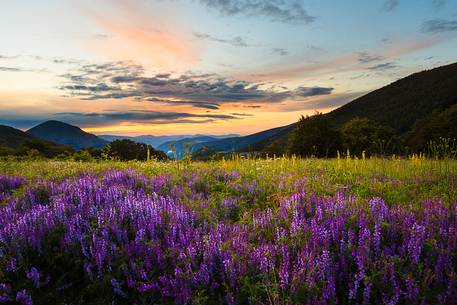 Sunset on the Sibillini Mountains near Castelluccio of Norcia