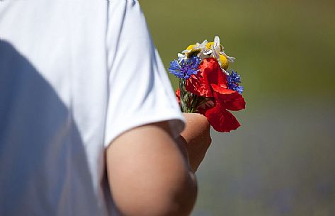 Child holding a bouquet of wild flowers, Castelluccio di Norcia, Italy