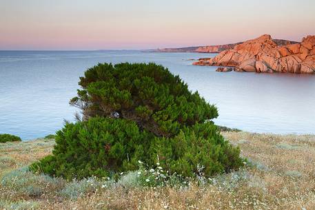 The north-eastern Sardinia is one of the pearls of the Mediterranean. Rich in vegetation and rocks, the most unusual shapes, is famous worldwide for the Maddalena Archipelago, a group of islands that seems to represent the jewels of the Gods