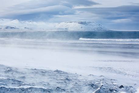 Wind and snow along a beach in Iceland