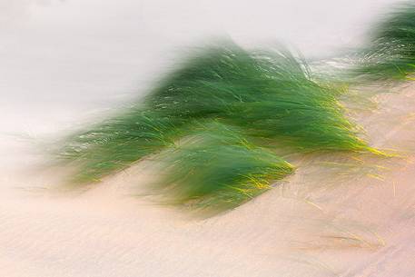 Piscinas, the colors of a warm sunset, the dunes, the desert of Sardinia, the blases of grass, a place full of magic, unique in the Mediterranean, Arbus, Sardinia, Italy