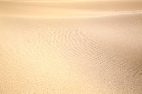 Detail of Piscinas dune, the colors of a warm sunset, the dunes, the desert of Sardinia, a place full of magic, unique in the Mediterranean, Arbus, Sardinia