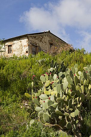 An old building along the Edward Lear path
