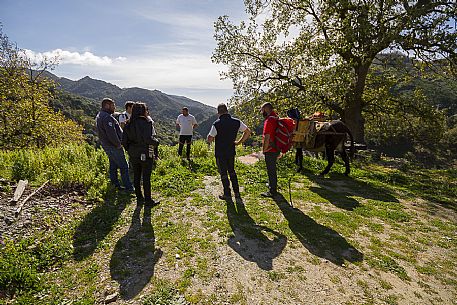 Group of hikers along the Edward Lear path