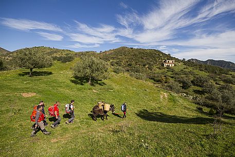 Group of hikers along the Edward Lear path