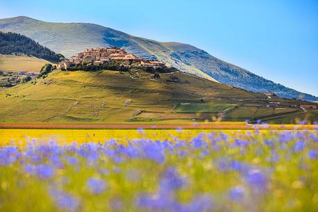 Castelluccio di Norcia during flowering