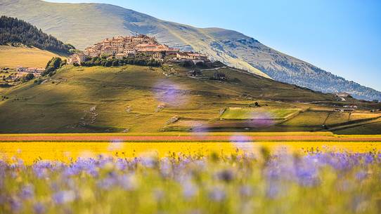 Castelluccio di Norcia during flowering