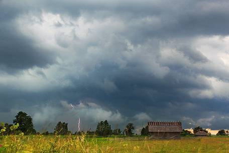 Matsalu National Park under the storm