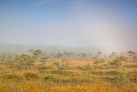 Endla Nature Reserve is a nature reserve situated in central Estonia. The Endla nature reserve protects a fresh-water system of mires, bogs, springs and rivulets, Jgeva county, Estonia