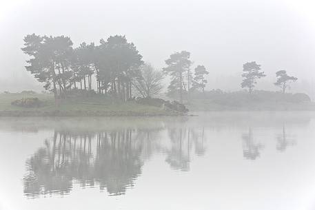 Knapps Loch in the morning fog, Renfrewshire