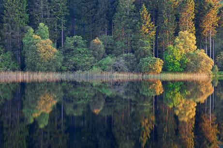 Loch at sunset