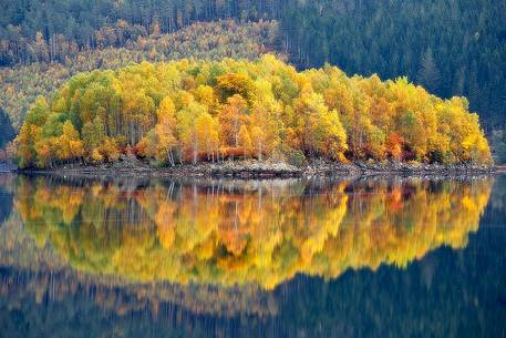 The lake in autumn