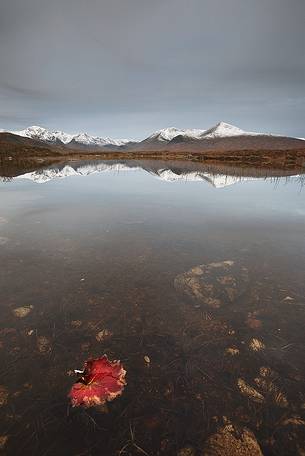 A typical autumnal Day with grey sky and pleasant climate