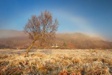 An impressive Halo embraces the ladnscape in the morning