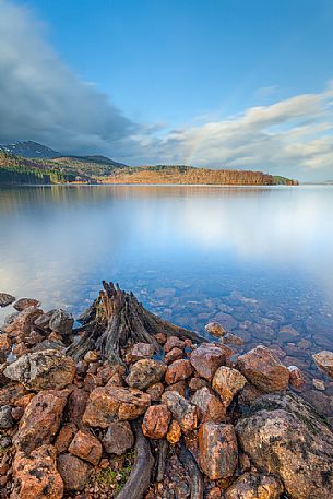 A rest of a dead tree on the lake shore and  a magnificent rainbow above Loch Cluanie