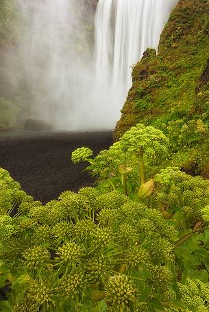 Seljalandsfoss waterfalls 