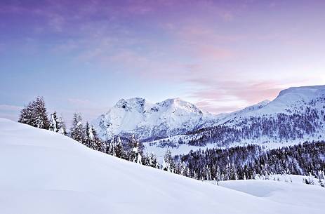 Sunset over snowy forest, in the background Bivera Mountain Group