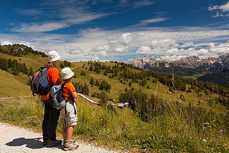 Admiring the meadows of Utia Vaciara, Badia Valley, South Tyrol, Dolomites, Italy