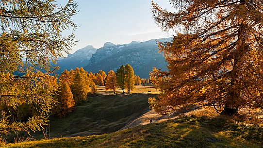 Prati dell'Armentara alpine meadows with barns in autumn, South Tyrol, Dolomites, Italy, Parco Naturale Fanes Senes Braies 