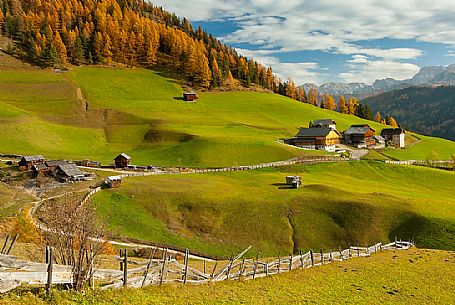 Longiar alpine meadows with farms and barns in autumn, South Tyrol, Dolomites, Italy, Valle dei Mulini, Badia Valley, Puez Odle Natural Park 