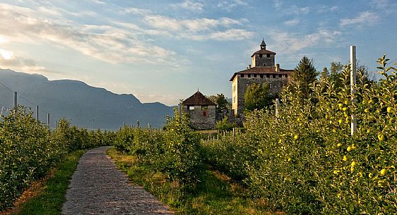 Castel Nanno castle and apple trees, Val di Non, Trentino, Italy