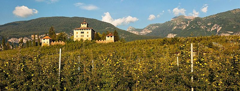 Castel Nanno castle and apple trees, Val di Non, Trentino, Italy