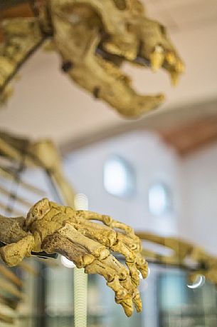 Museum Geo paleontological Attilio Benedetti at Campo Silvano, Lessinia, Italy