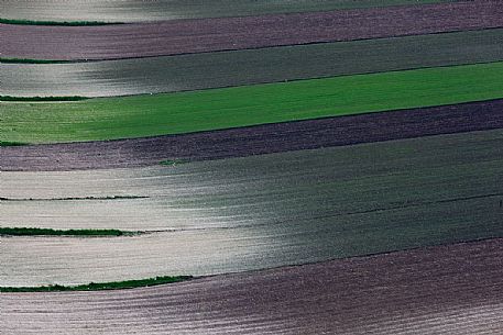 Fields in spring with lentil newly sown, Castelluccio di Norcia, Italy