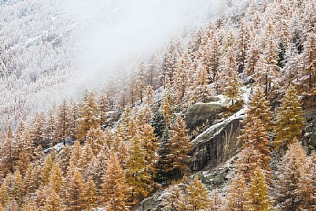 Autumn atmosphere in gran paradiso national park