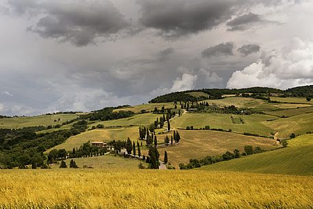 Charming road in the tuscan countryside, Orcia Valley, Tuscany, Italy