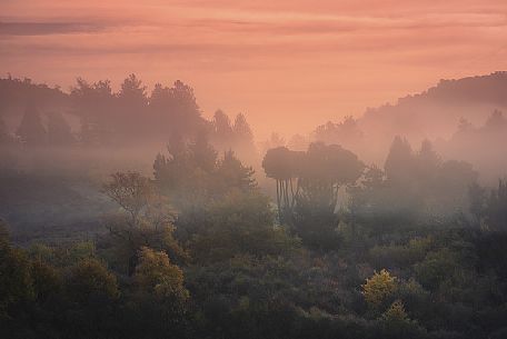 Autumn sunrise at the Roman castles park, Velletri, Latium, Italy, Europe