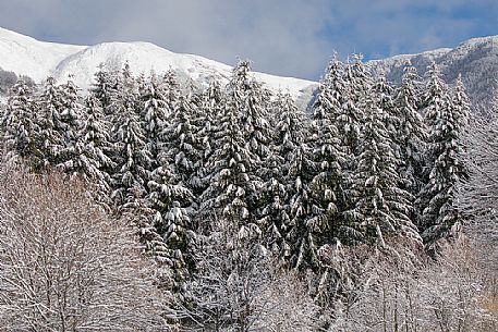 A Christmas card along the shore of lake of Campotosto, Gran Sasso and monti della Laga national park, Abruzzo, Italy