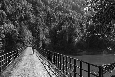 Solitude. On the way towards the wood. Lake of Verzegnis, Carnia, Friuli Venezia Giulia, Italy, Europe