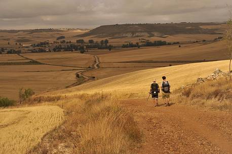 Way of St. James, Camino de Santiago to Compostela, Pilgrims hiking to Hornillos, Burgos, Castiglia e Leon, Castile and Leon, Spain