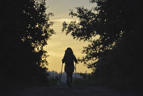 young girl walking at surnrise along the Way of St. James few kilometers from Santiago, Santiago de Compostela, Galicia, Spain