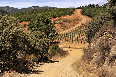 Way of St.James - Pilgrim walking to Villafranca del Bierzo