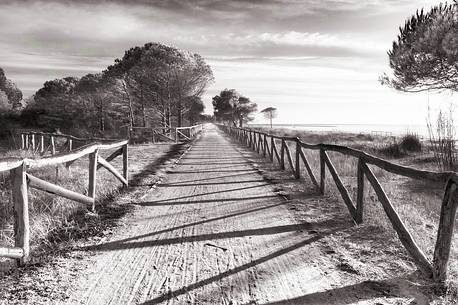 Cycling path and foot path near Punta Tagliamento lighthouse, Bibione, Veneto, Italy, Europe