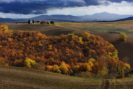 Typical Orcia Valley autumnal landscape with Vitaleta church between Pienza and San Quirico d'Orcia villages, Tuscany, Italy, Europe